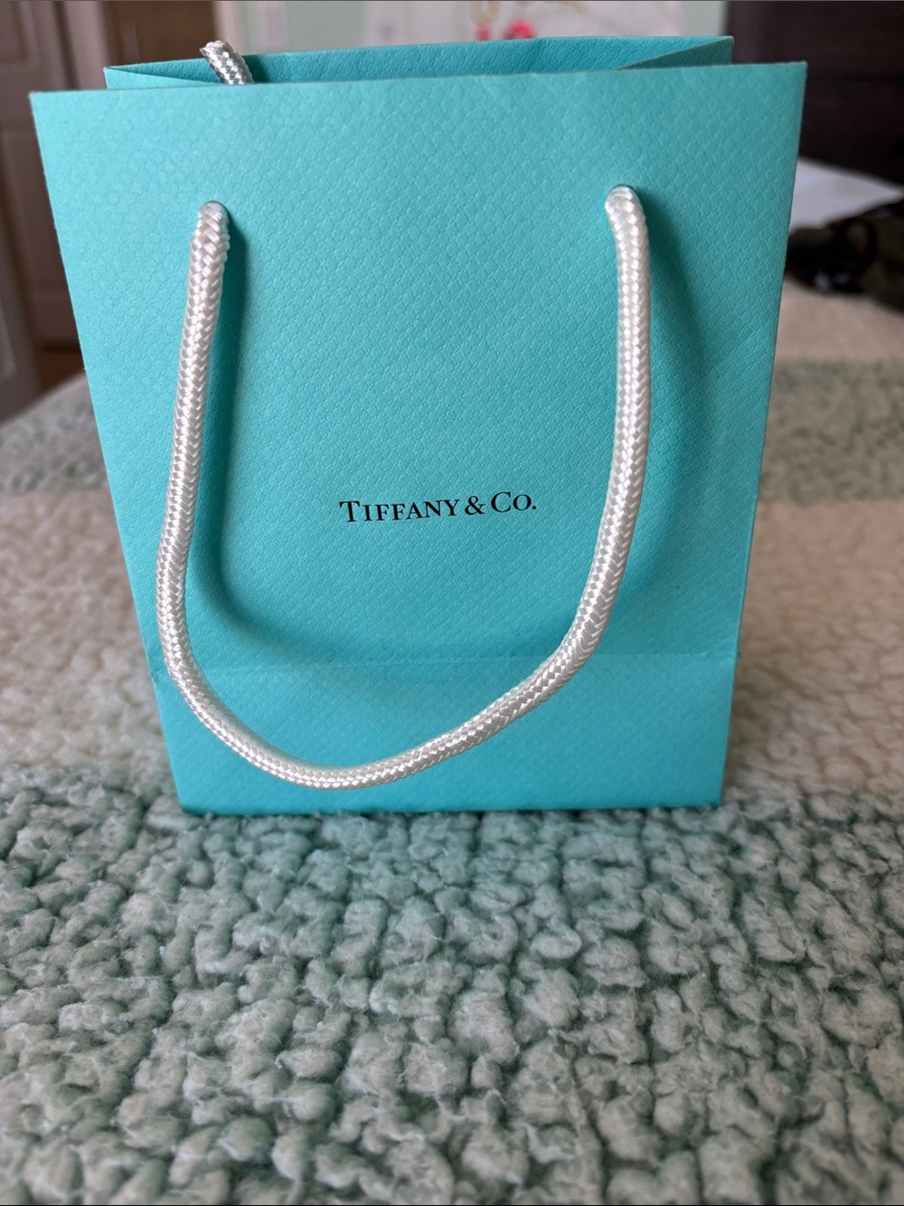 Tiffany & Co. Robin's Egg Blue Gift Bag with White Rope Handles